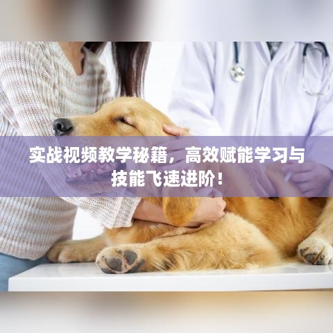 實(shí)戰(zhàn)視頻教學(xué)秘籍，高效賦能學(xué)習(xí)與技能飛速進(jìn)階！