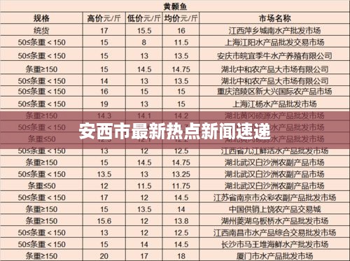 安西市最新熱點(diǎn)新聞速遞