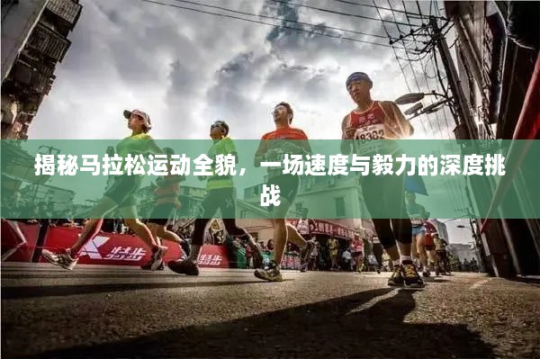 揭秘馬拉松運(yùn)動(dòng)全貌，一場(chǎng)速度與毅力的深度挑戰(zhàn)