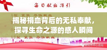 揭秘捐血背后的無(wú)私奉獻(xiàn)，探尋生命之源的感人瞬間