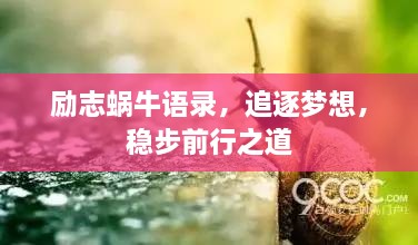 勵志蝸牛語錄，追逐夢想，穩(wěn)步前行之道
