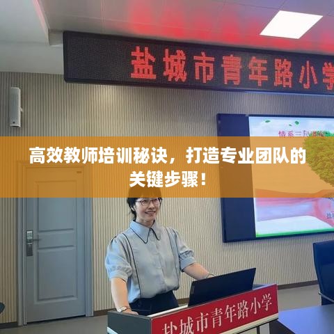 高效教師培訓秘訣，打造專業(yè)團隊的關鍵步驟！