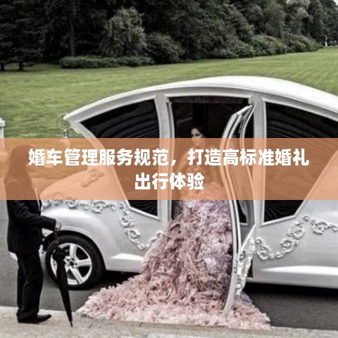 婚車(chē)管理服務(wù)規(guī)范，打造高標(biāo)準(zhǔn)婚禮出行體驗(yàn)