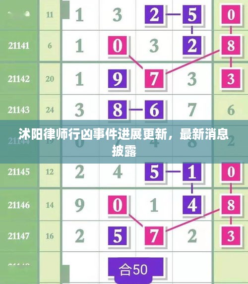 沭陽律師行兇事件進(jìn)展更新，最新消息披露