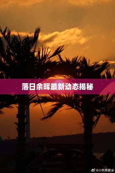 落日余暉最新動(dòng)態(tài)揭秘