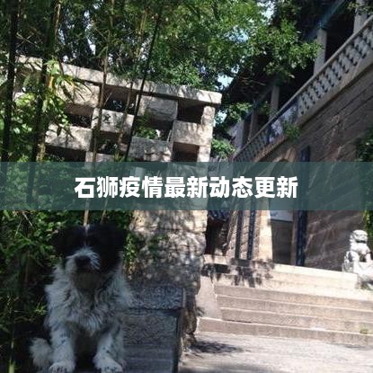 石獅疫情最新動(dòng)態(tài)更新
