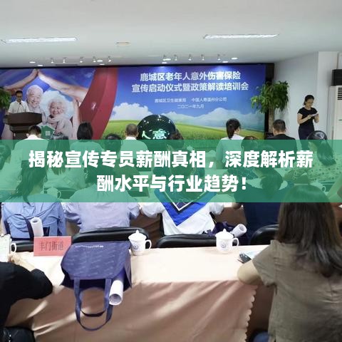 揭秘宣傳專(zhuān)員薪酬真相，深度解析薪酬水平與行業(yè)趨勢(shì)！