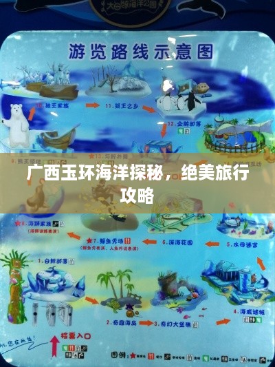 廣西玉環(huán)海洋探秘，絕美旅行攻略