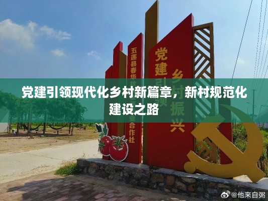黨建引領(lǐng)現(xiàn)代化鄉(xiāng)村新篇章，新村規(guī)范化建設(shè)之路