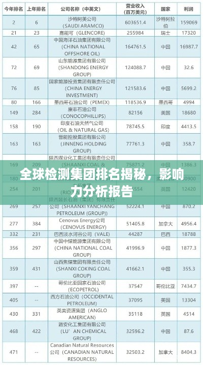 全球檢測集團排名揭秘，影響力分析報告