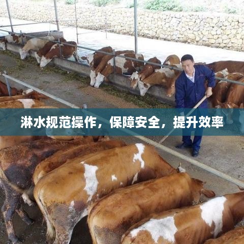 淋水規(guī)范操作，保障安全，提升效率
