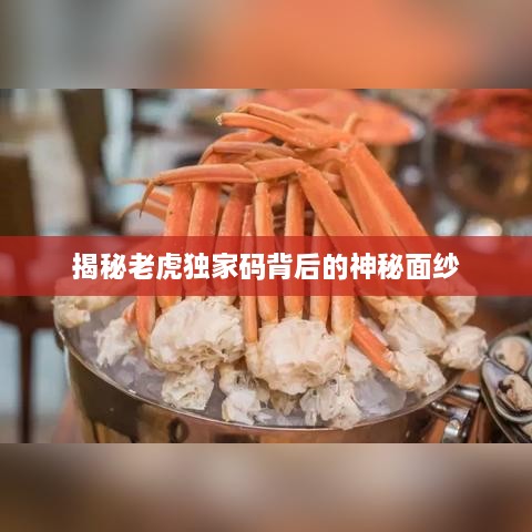 揭秘老虎獨家碼背后的神秘面紗