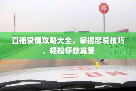 直播愛情攻略大全，掌握戀愛技巧，輕松俘獲真愛