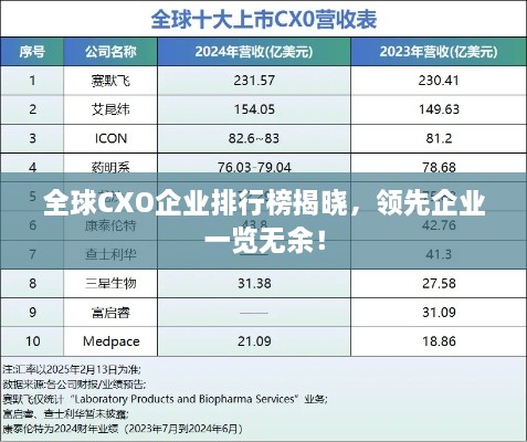 全球CXO企業(yè)排行榜揭曉，領(lǐng)先企業(yè)一覽無余！