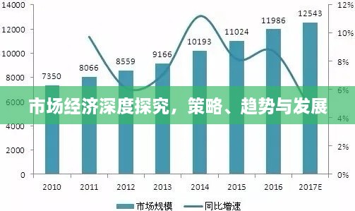 市場經(jīng)濟深度探究，策略、趨勢與發(fā)展