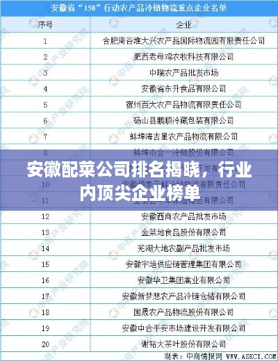 安徽配菜公司排名揭曉，行業(yè)內(nèi)頂尖企業(yè)榜單