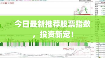 今日最新推薦股票指數(shù)，投資新寵！