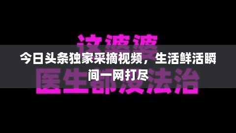 今日頭條獨(dú)家采摘視頻，生活鮮活瞬間一網(wǎng)打盡