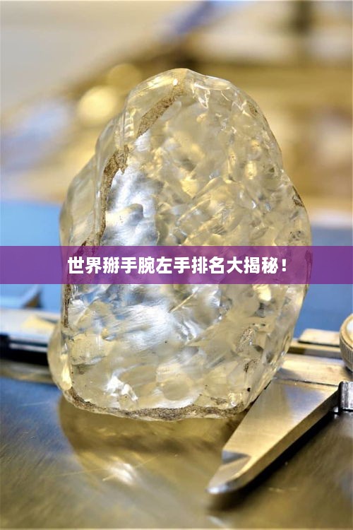 世界掰手腕左手排名大揭秘！