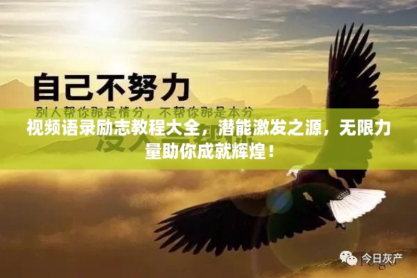 視頻語錄勵(lì)志教程大全，潛能激發(fā)之源，無限力量助你成就輝煌！