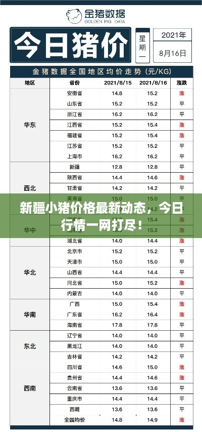 新疆小豬價格最新動態(tài)，今日行情一網(wǎng)打盡！
