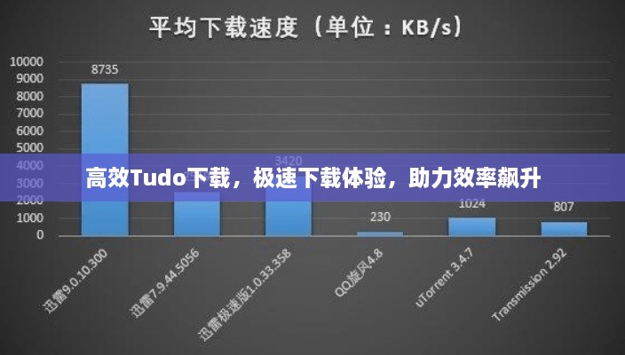 高效Tudo下載，極速下載體驗(yàn)，助力效率飆升