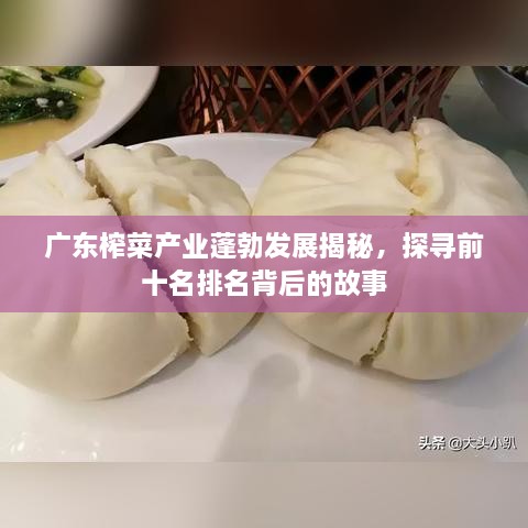 廣東榨菜產(chǎn)業(yè)蓬勃發(fā)展揭秘，探尋前十名排名背后的故事