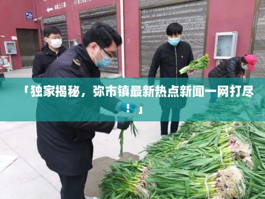 「獨家揭秘，彌市鎮(zhèn)最新熱點新聞一網(wǎng)打盡！」
