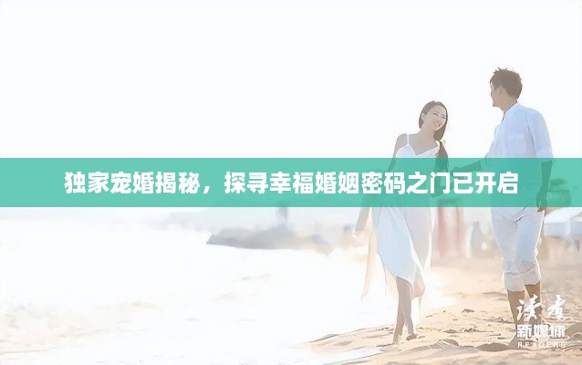 獨(dú)家寵婚揭秘，探尋幸?；橐雒艽a之門已開啟