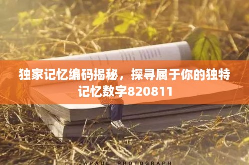 獨(dú)家記憶編碼揭秘，探尋屬于你的獨(dú)特記憶數(shù)字820811