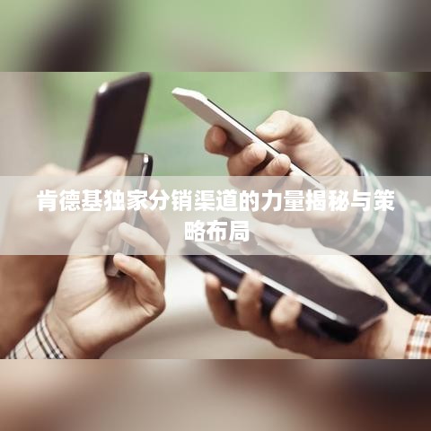 肯德基獨(dú)家分銷渠道的力量揭秘與策略布局