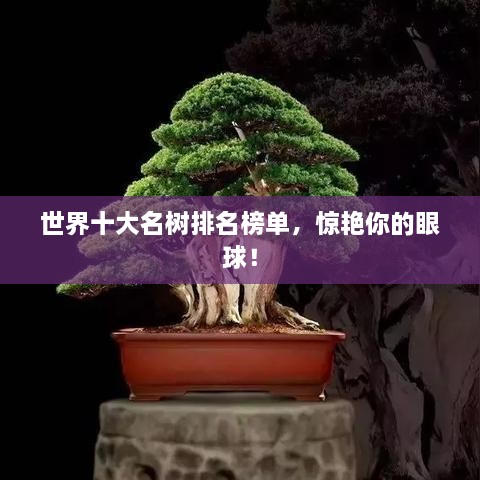 世界十大名樹排名榜單，驚艷你的眼球！