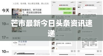 2025年4月8日