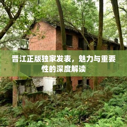 晉江正版獨家發(fā)表，魅力與重要性的深度解讀