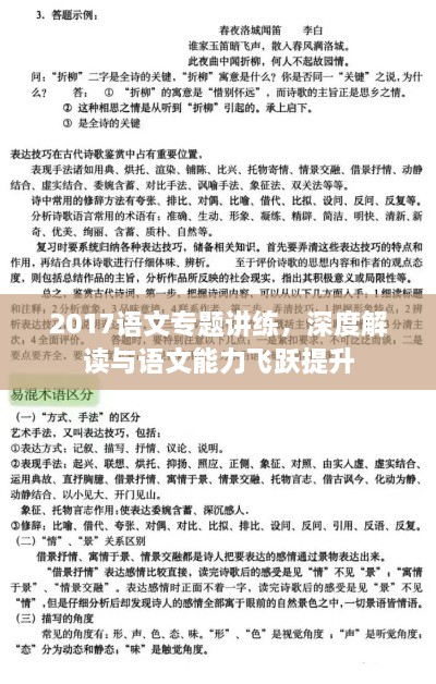 2017語文專題講練，深度解讀與語文能力飛躍提升