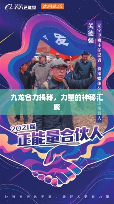 九龍合力揭秘，力量的神秘匯聚