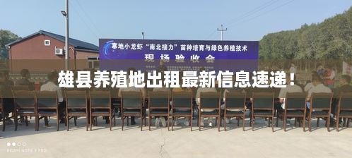 雄縣養(yǎng)殖地出租最新信息速遞！
