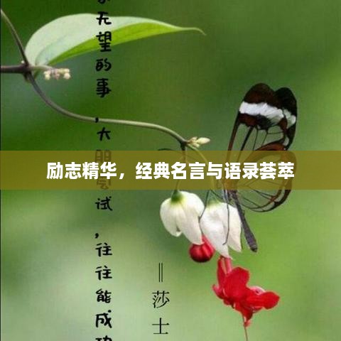 勵志精華，經(jīng)典名言與語錄薈萃