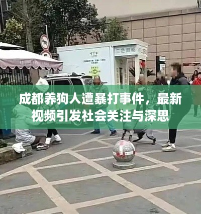 成都養(yǎng)狗人遭暴打事件，最新視頻引發(fā)社會(huì)關(guān)注與深思