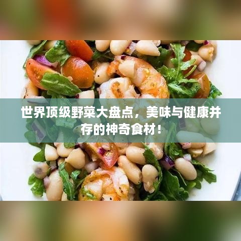 世界頂級野菜大盤點，美味與健康并存的神奇食材！
