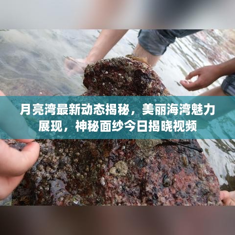 月亮灣最新動態(tài)揭秘，美麗海灣魅力展現(xiàn)，神秘面紗今日揭曉視頻
