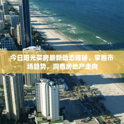 今日陽光買房最新動態(tài)揭秘，掌握市場趨勢，洞悉房地產(chǎn)走向
