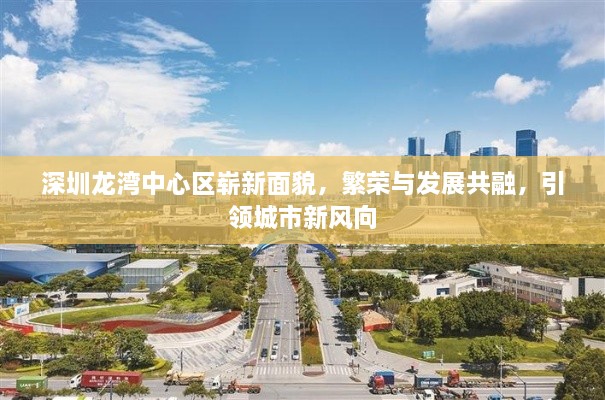 深圳龍灣中心區(qū)嶄新面貌，繁榮與發(fā)展共融，引領城市新風向