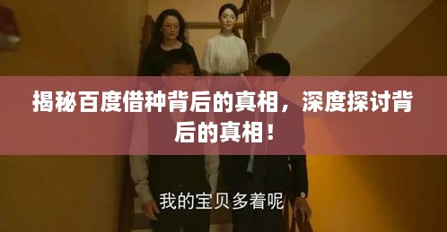 揭秘百度借種背后的真相，深度探討背后的真相！