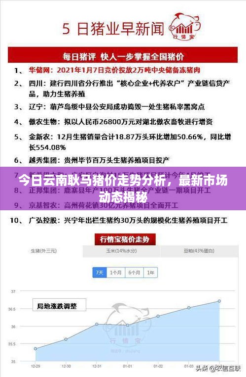 今日云南耿馬豬價(jià)走勢(shì)分析，最新市場(chǎng)動(dòng)態(tài)揭秘
