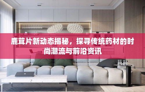 鹿茸片新動(dòng)態(tài)揭秘，探尋傳統(tǒng)藥材的時(shí)尚潮流與前沿資訊