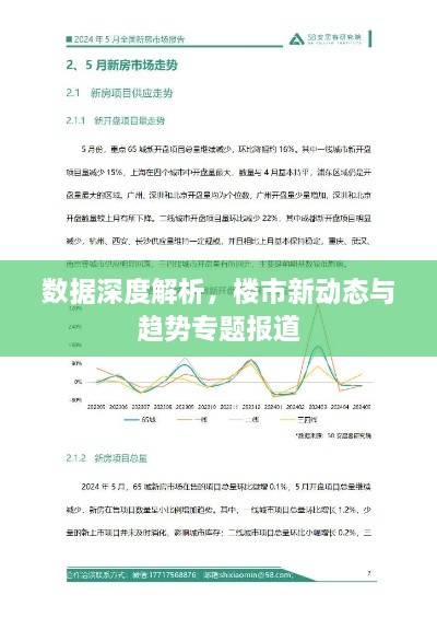數(shù)據(jù)深度解析，樓市新動(dòng)態(tài)與趨勢(shì)專題報(bào)道