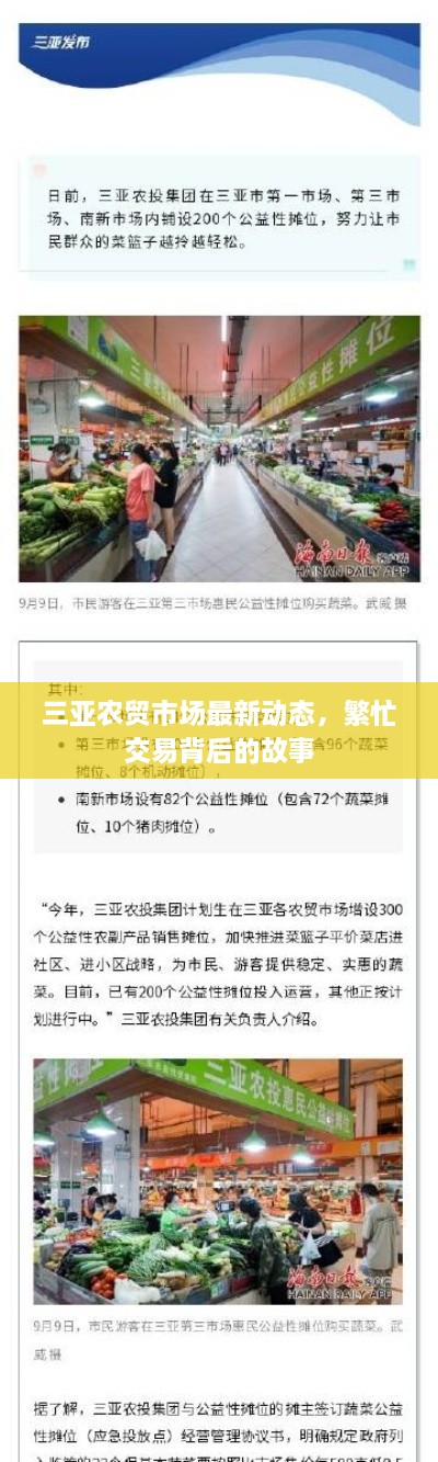 三亞農(nóng)貿(mào)市場最新動(dòng)態(tài)，繁忙交易背后的故事