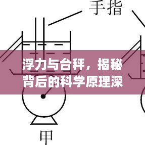 浮力與臺(tái)秤，揭秘背后的科學(xué)原理深度探究專題