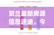 賀蘭最新房源信息速遞，今日租房精選概述